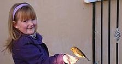 Attract Garden Birds to the School Grounds Attract Garden Birds to the School Grounds