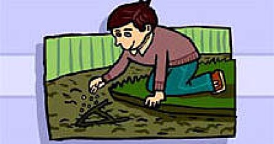 Grow Your Own Name Initials Grow Your Own Name Initials