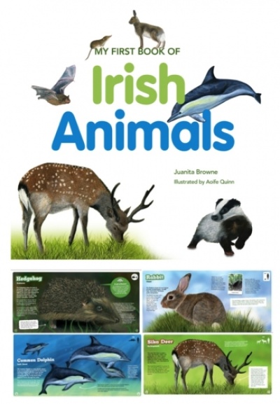 My First Book Of Irish Animals My First Book Of Irish Animals