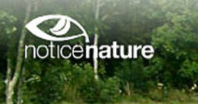 Notice Nature Notice Nature