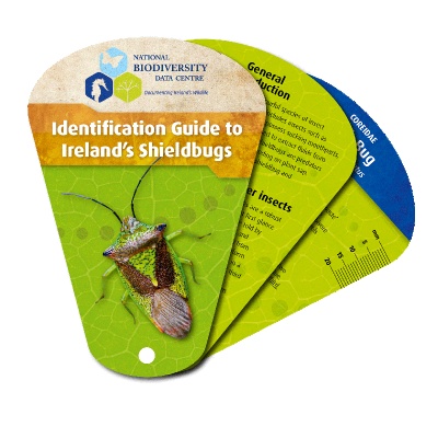 Ireland's Biodiversity: Shieldbugs