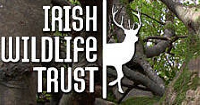 The Irish Wildlife Trust