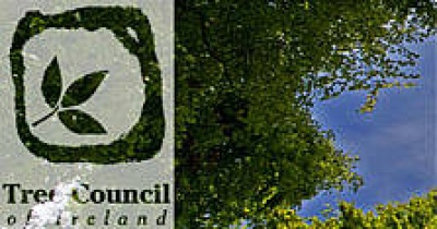The Tree Council Of Ireland The Tree Council Of Ireland